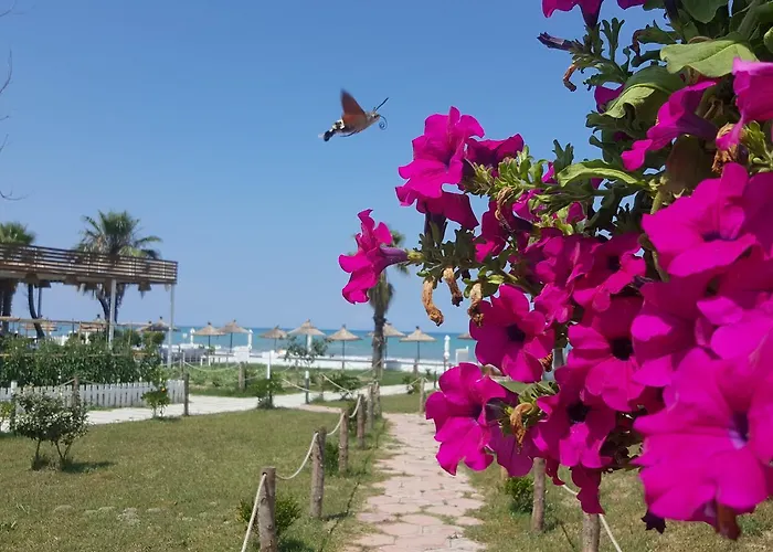 Umami Ośrodek wypoczynkowy