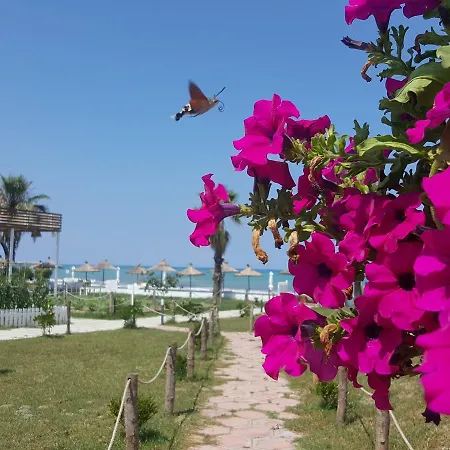 Umami Station touristique